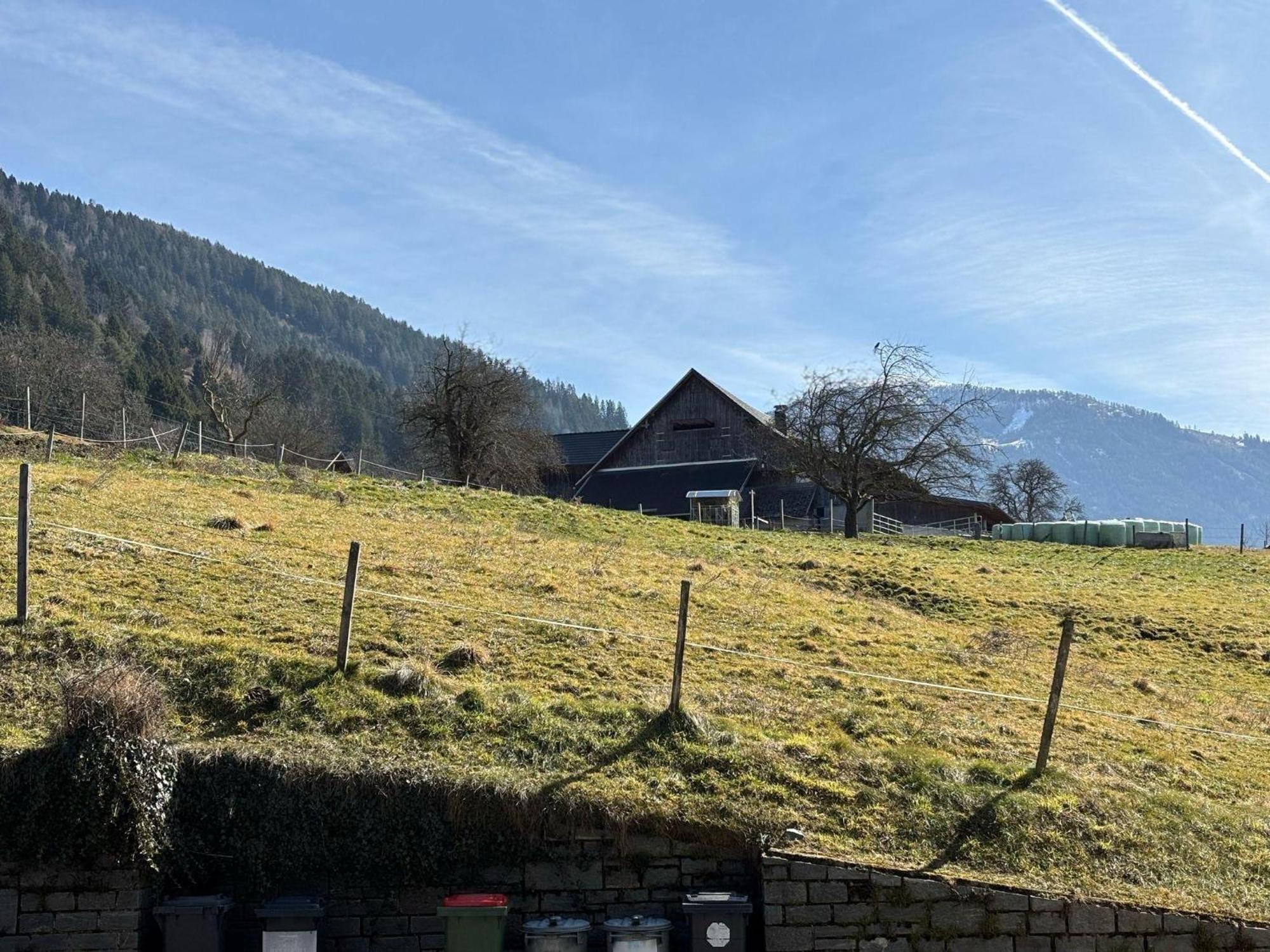 Moderne-Ferienwohnung-Nur-1Km-Vom-Millstaetter-See-In-Kaernten-Entfernt Millstatt Bagian luar foto