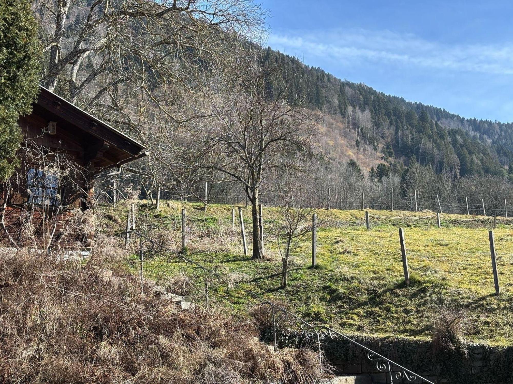 Moderne-Ferienwohnung-Nur-1Km-Vom-Millstaetter-See-In-Kaernten-Entfernt Millstatt Bagian luar foto